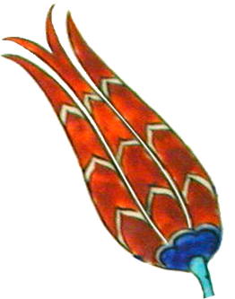 Tulipan otomano